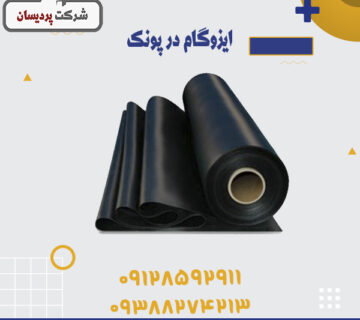 ایزوگام در پونک