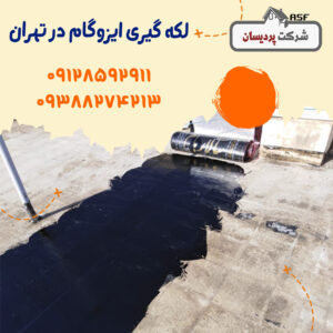 لکه گیری ایزوگام در تهران