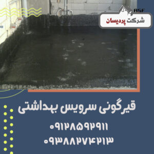 قیرگونی سرویس بهداشتی