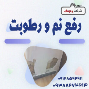 رفع بوی نم و رطوبت